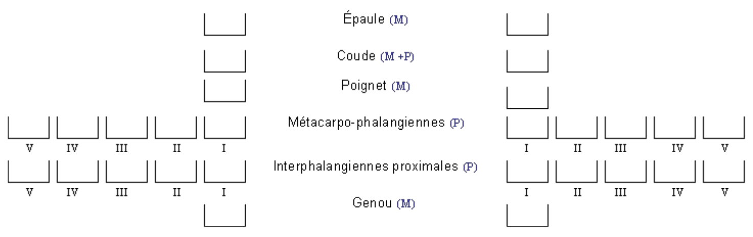 Image de la galerie