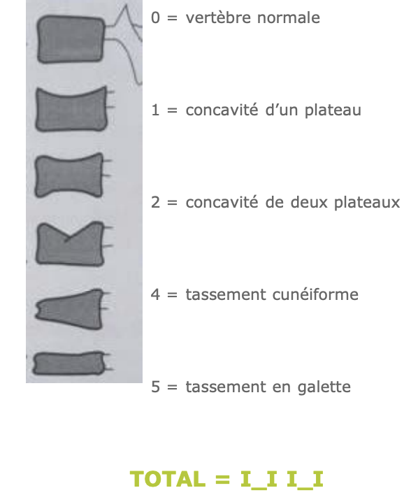 Image de la galerie