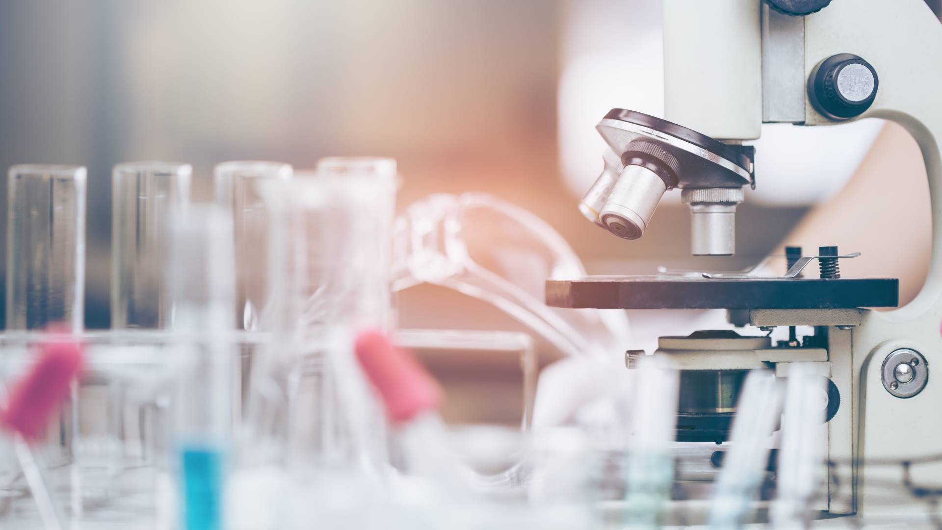 Bourses Accueil Francophonie